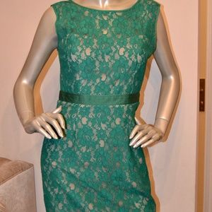 BCBG Lace Dress